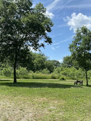 Buffalo Creek Area