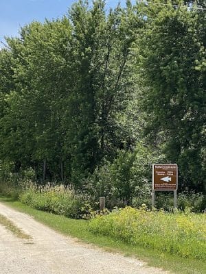 Buffalo Creek Area