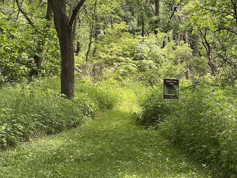Buffalo Creek Area - Winthrop, IA