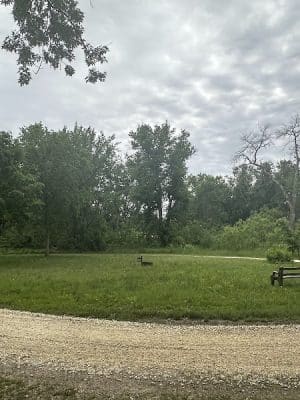 Buffalo Creek Area