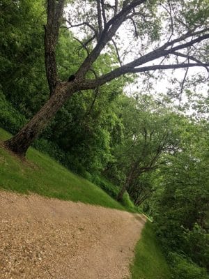 Buffalo Creek Area