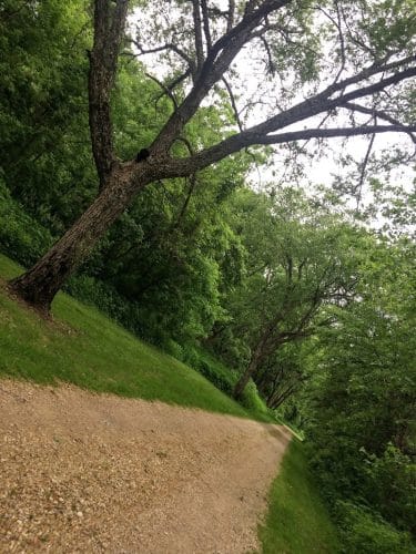 Buffalo Creek Area