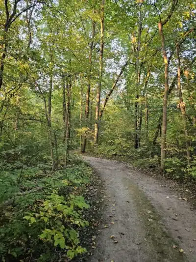 Lyon Oaks County Park - Wixom,