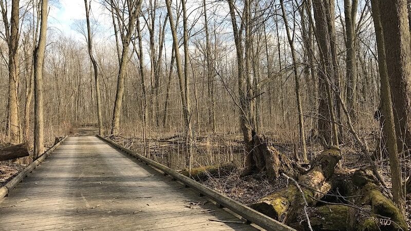 Lyon Oaks Dog Park - Wixom, MI