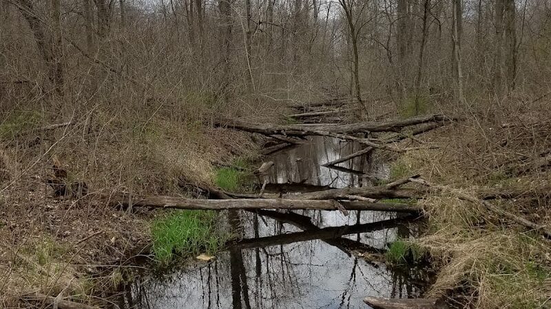 Lyon Oaks Dog Park - Wixom, MI