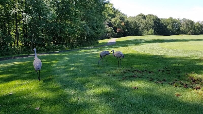 Lyon Oaks Dog Park - Wixom, MI