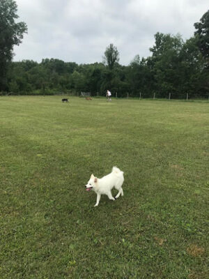 Lyon Oaks Dog Park