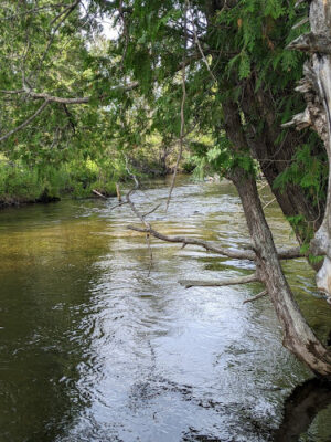 Wilmot Township Park