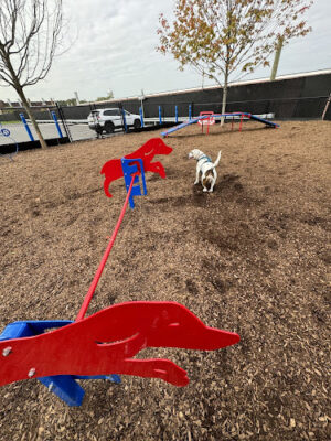 Wood-Ridge Dog Park