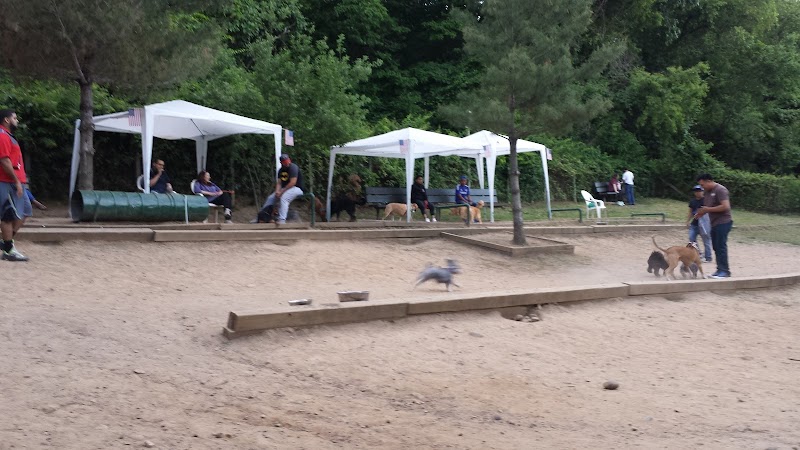 K9 Korral Dog Run - Woodhaven,