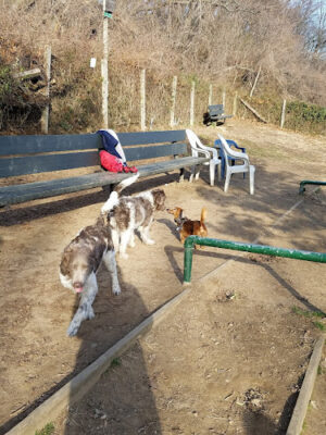 K9 Korral Dog Run