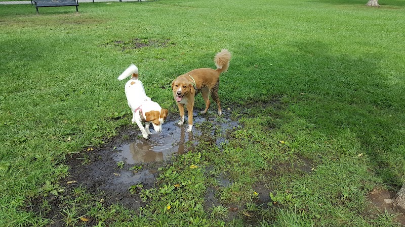 WOOFhaven Dog Park (Membership Required) - Woodhaven, MI
