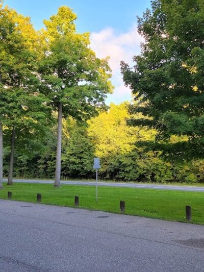 Woodland Roadside Park - Woodland,
