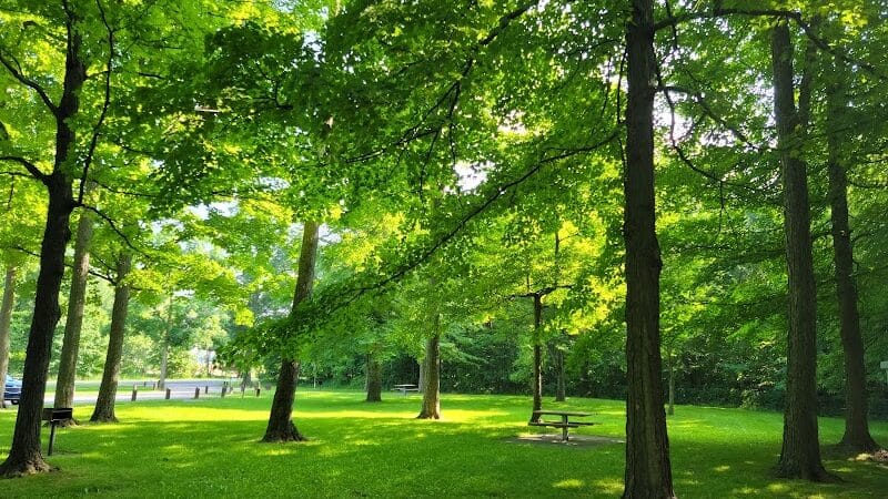 Woodland Roadside Park - Woodland,