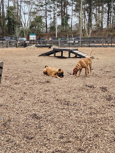 Woofstock Dog Park