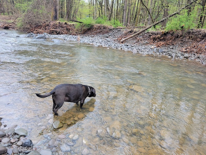 Woodstock Dog Park - Woodstock, NY