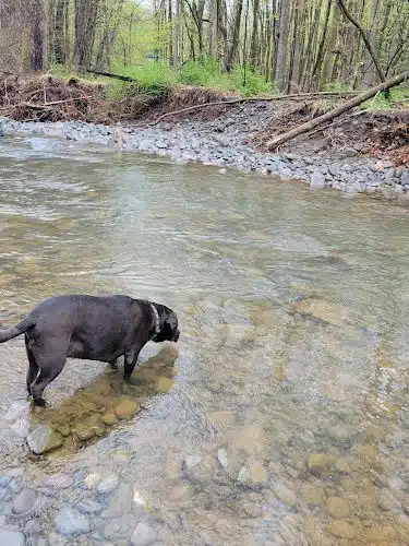 Woodstock Dog Park
