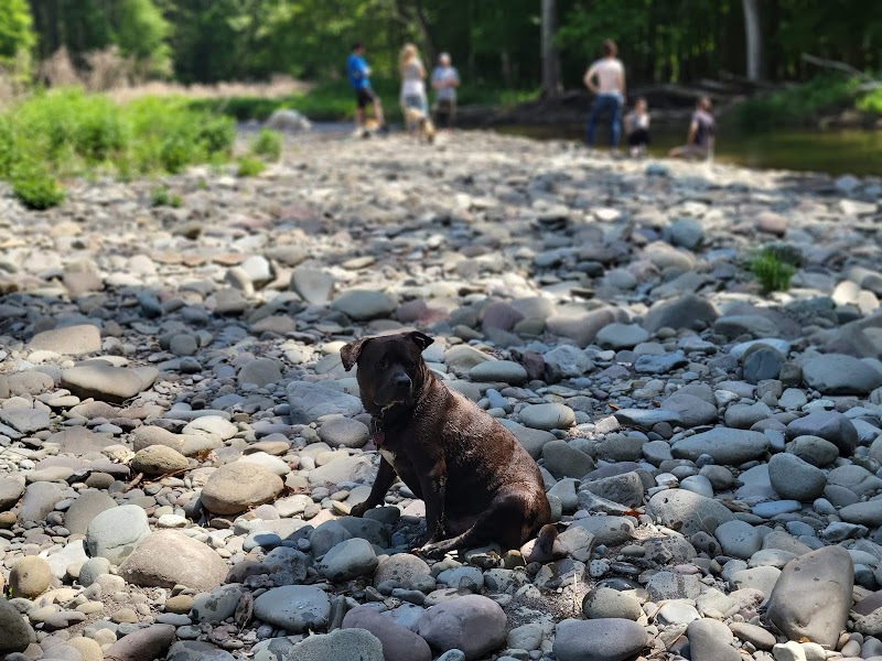Woodstock Dog Park - Woodstock, NY