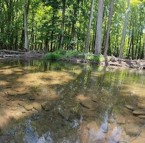 Woodstock Dog Park