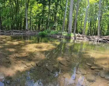 Woodstock Dog Park