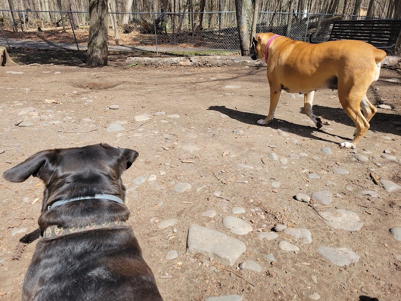 Woodstock Dog Park - Woodstock, NY