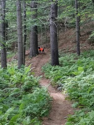 Aqueduct Trails