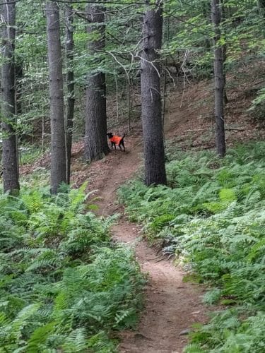Aqueduct Trails