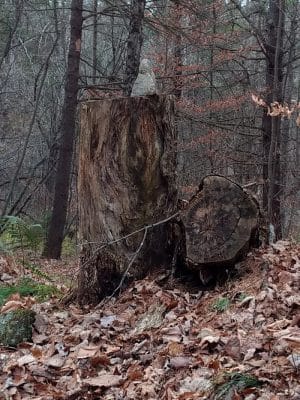 Aqueduct Trails