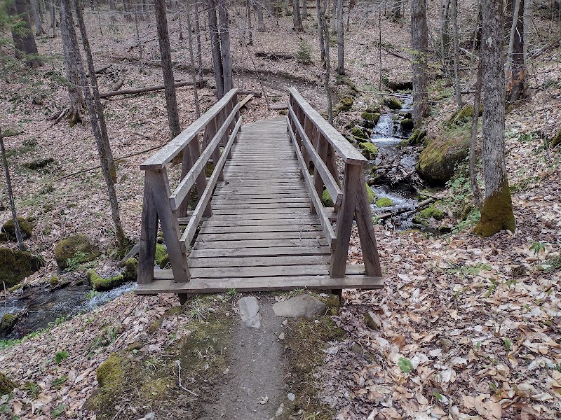 Aqueduct Trails - Woodstock, VT