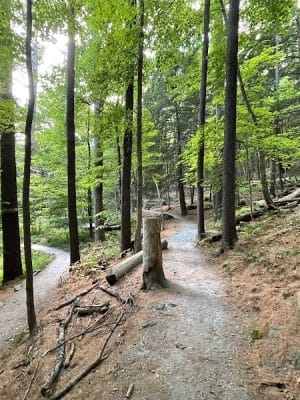 Faulkner Park