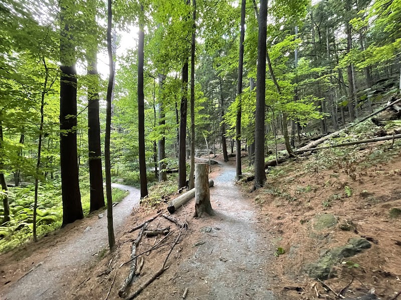 Faulkner Park - Woodstock, VT