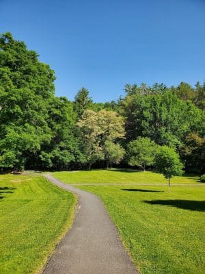 Faulkner Park