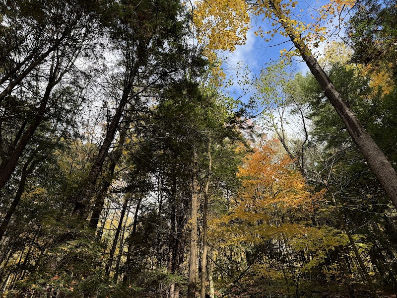 Faulkner Park - Woodstock, VT