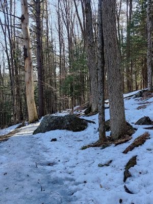 Faulkner Park