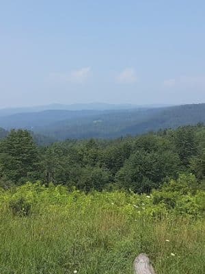 Mt Peg Trails Parking