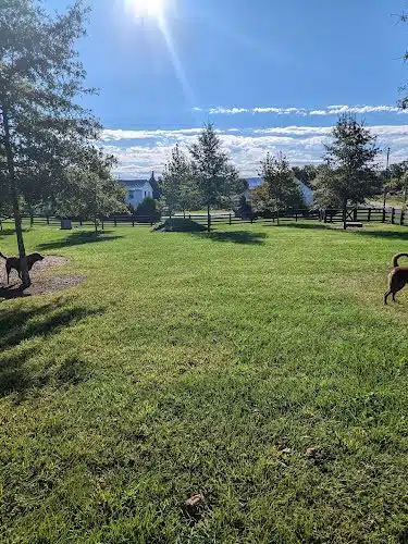 Fairview Park - Woodstock, VA