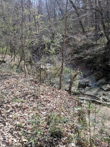Clark Creek Hiking Trail - Woodville, MS