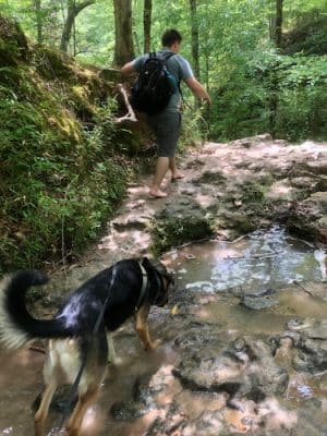 Clark Creek Hiking Trail - Woodville, MS