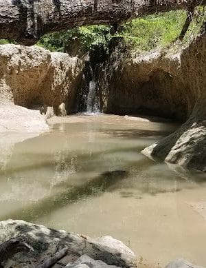 Clark Creek Hiking Trail - Woodville, MS