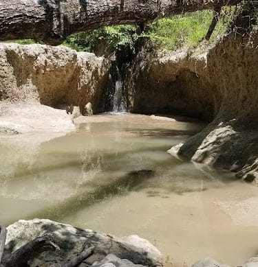 Clark Creek Hiking Trail - Woodville, MS