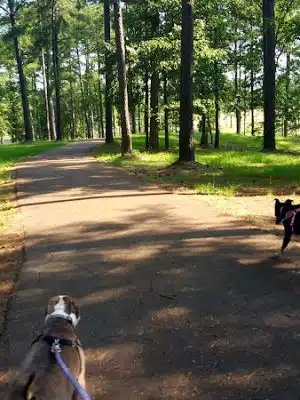 Wilkinson County Park - Woodville, MS