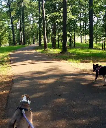Wilkinson County Park