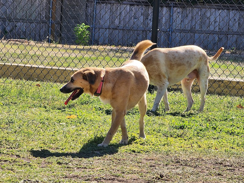 Woof Way Dog Park - Woodway, TX