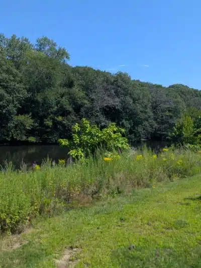 Dog Park at River’s Edge - Woonsocket, RI