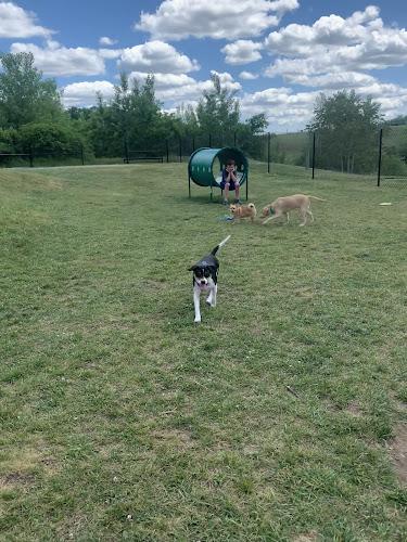 Dog Park at River’s Edge - Woonsocket, RI