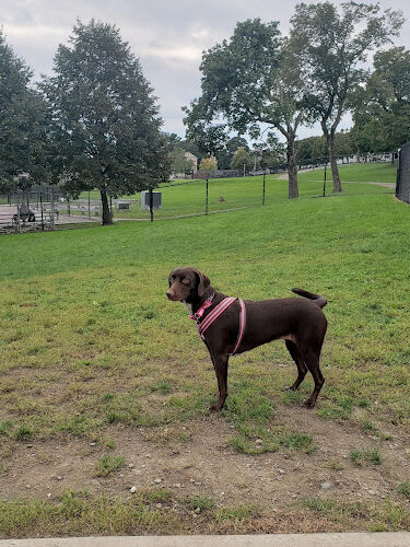 Vernon Hill Dog Park