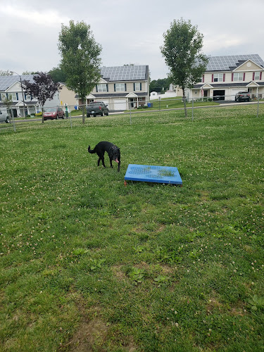 Falcon Courts North Dog Park