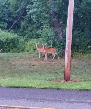 Green Acres Park