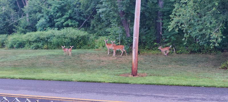 Green Acres Park - Wrightstown, NJ