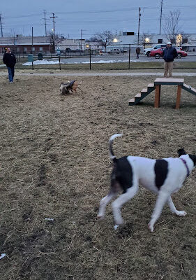 Wyandotte Dog Park